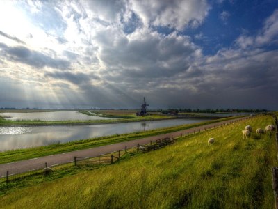 Bungalow Koningsweg 13 - Environment photo 14