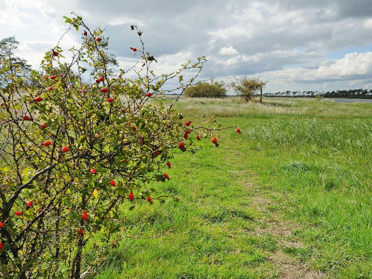 Holiday house Gutshaus Zicker in Garz - Outdoor photo 5