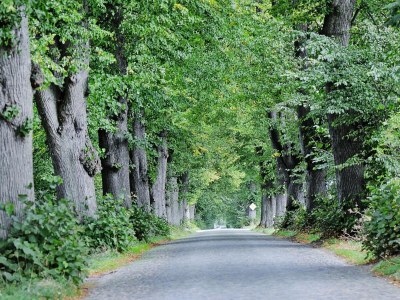 Holiday house Gutshaus Zicker in Garz - Outdoor photo 7