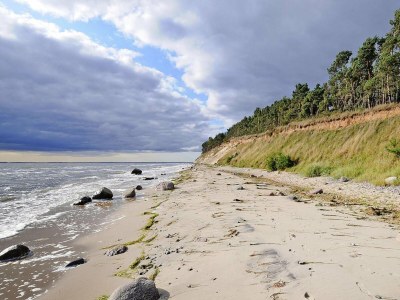 Holiday house Gutshaus Zicker in Garz - Environment photo 16