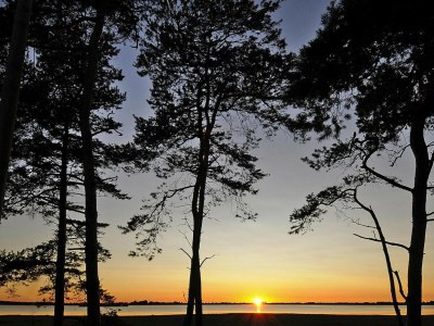 Holiday house Gutshaus Zicker in Garz - Environment photo 20