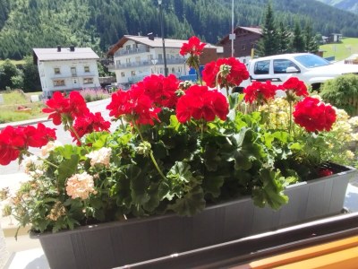 Holiday apartment No title - Outdoor photo 6