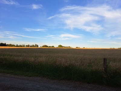 Holiday house Am Bornfeld Holiday House - Outdoor photo 9