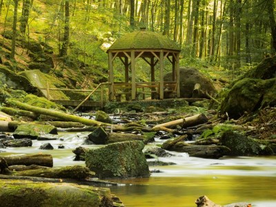 Holiday house Am Bornfeld Holiday House - Environment photo 27