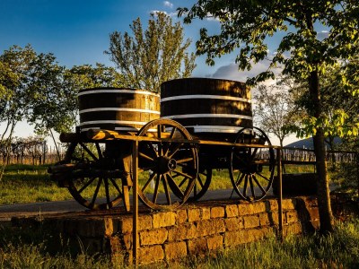 Holiday house Am Bornfeld Holiday House - Environment photo 33