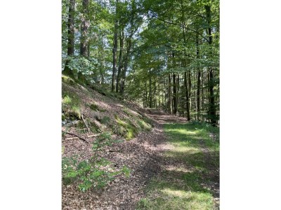 Holiday house No title - Environment photo 34