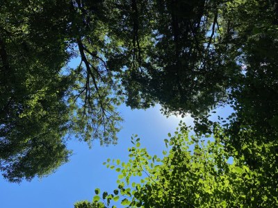 Holiday house No title - Environment photo 37