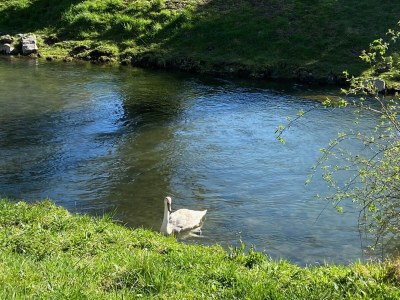 Holiday house No title - Environment photo 39