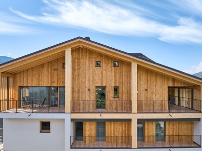 Holiday apartment Graf-Messnerhof - Outdoor photo 3