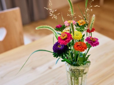 Holiday apartment Graf-Messnerhof - Features photo 16