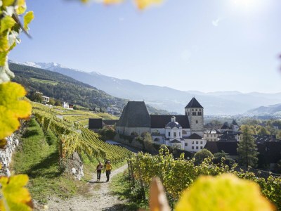Holiday apartment Graf-Messnerhof - Environment photo 21
