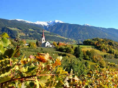 Holiday apartment Graf-Messnerhof - Environment photo 23