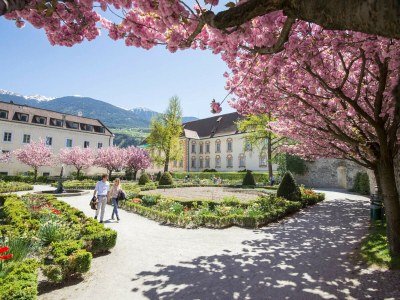 Holiday apartment Graf-Messnerhof - Environment photo 24
