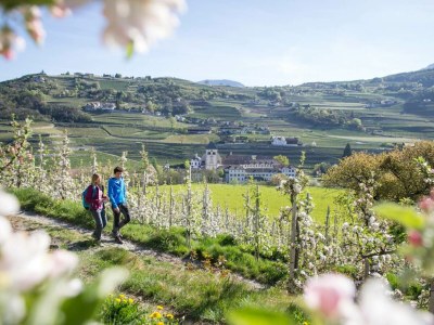 Holiday apartment Graf-Messnerhof - Environment photo 25