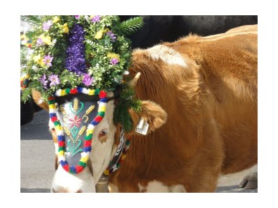 Apartment Apartment "Morgensonne" - Outdoor photo 24