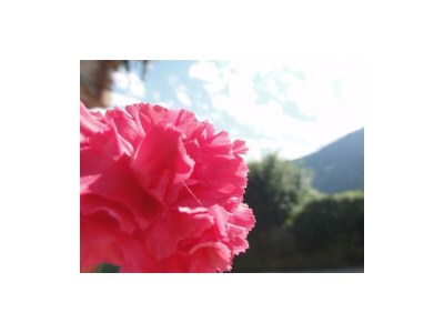 Apartment Apartment "Morgensonne" - Outdoor photo 27