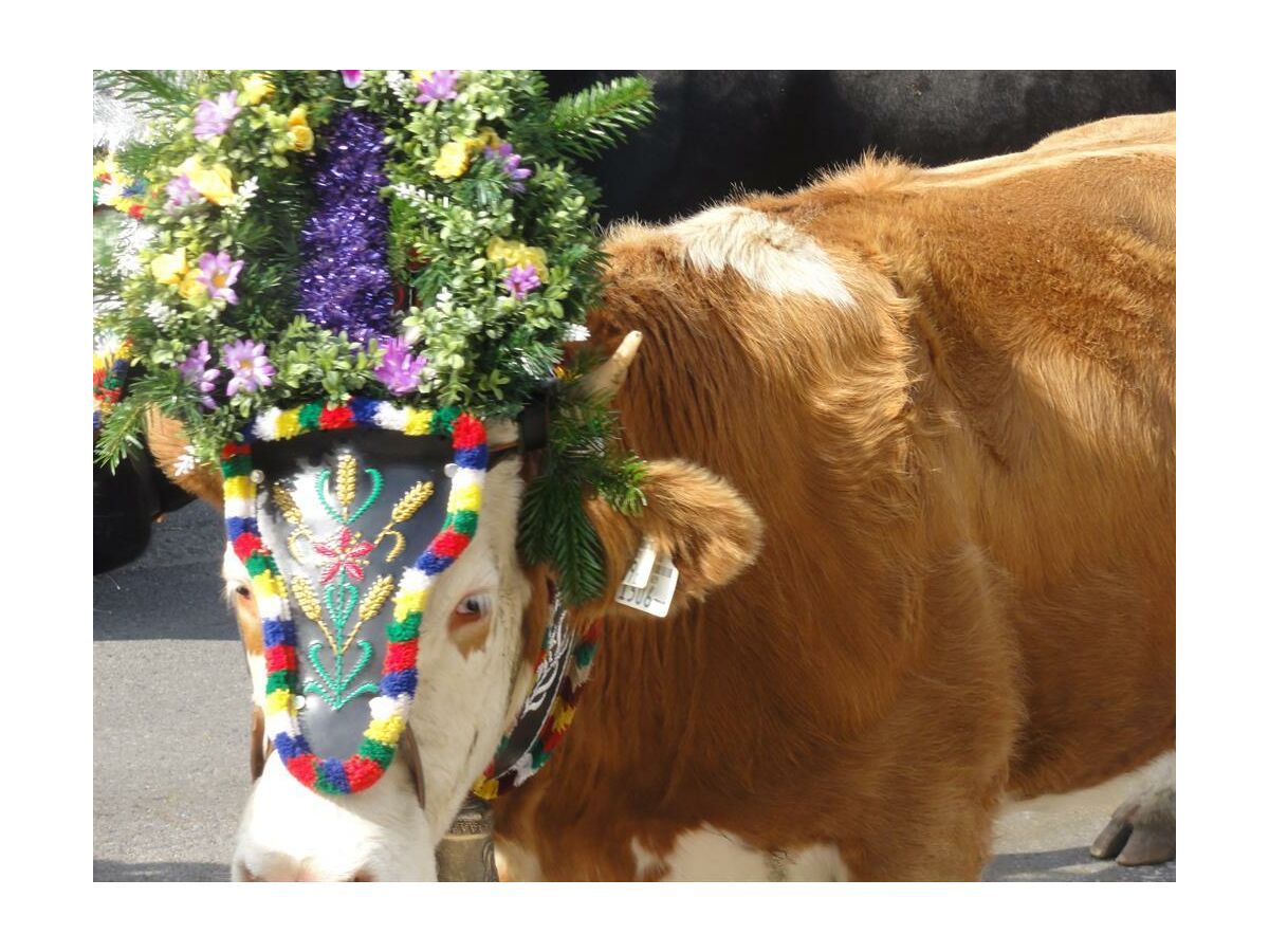 Apartment Apartment "Alpenpanorama" - Outdoor photo 3