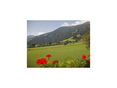 Apartment Apartment "Alpenpanorama" - Outdoor photo 9