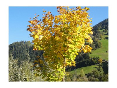 Apartment Apartment "Alpenpanorama" - Outdoor photo 16