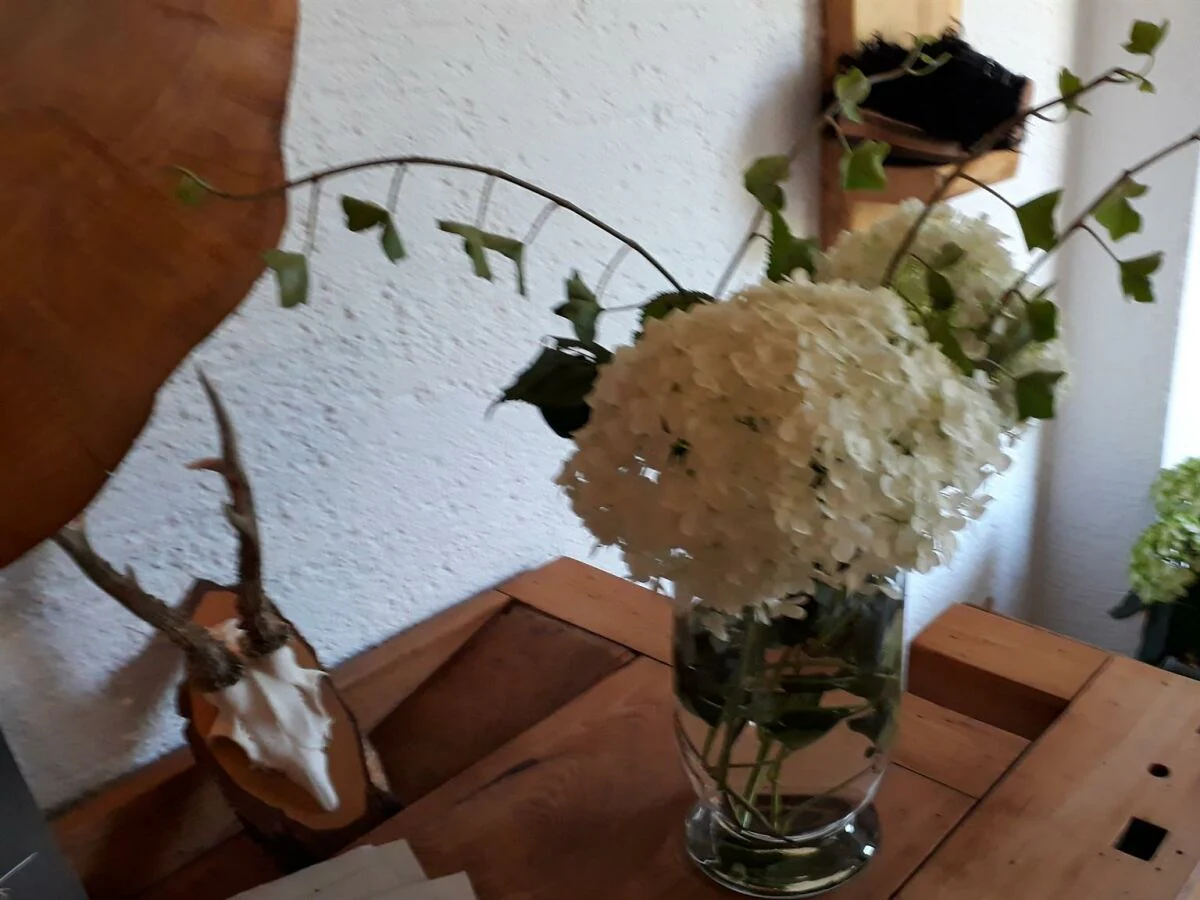 Apartment Ferienwohnung Erle I