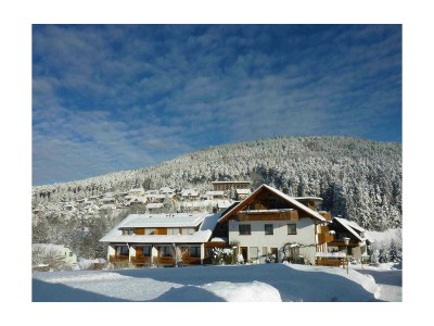 Apartment Ferienwohnung Lärche II - Outdoor photo 2