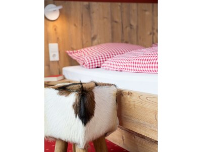 Apartment Ferienwohnung Lärche II - Features photo 11