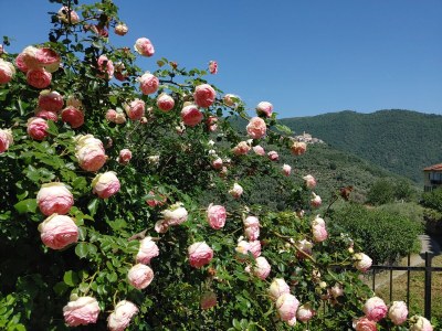 Holiday house Casa Amica - Outdoor photo 5