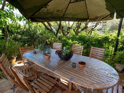 Villa with garden and private pool in Vence - 554 VEN - Outdoor photo 6