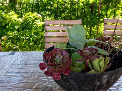 Villa with garden and private pool in Vence - 554 VEN - Outdoor photo 8