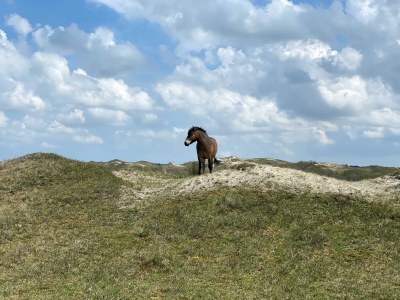 Holiday apartment White Sand Beach - Environment photo 18