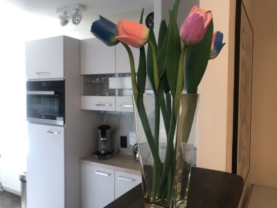 Holiday apartment Atlantis 17 C with sea view - Features photo 17