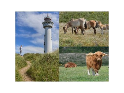 Holiday apartment Atlantis 17 C with sea view - Environment photo 33