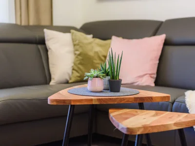 Holiday house Lavanda Muntrilj - Features photo 13