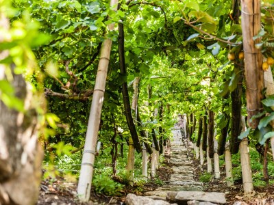 Holiday apartment Johannes Raut at the Residence Ladurnerhof - Outdoor photo 10