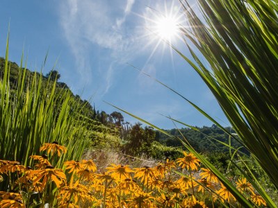 Holiday apartment Johannes Raut at the Residence Ladurnerhof - Outdoor photo 11