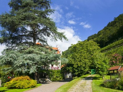 Holiday apartment Johannes Raut at the Residence Ladurnerhof - Outdoor photo 12