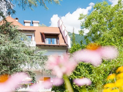 Holiday apartment Johannes Raut at the Residence Ladurnerhof - Outdoor photo 14