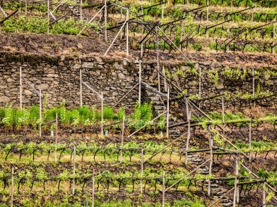 Holiday apartment Johannes Raut at the Residence Ladurnerhof - Outdoor photo 16