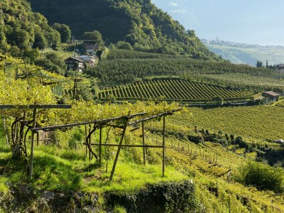 Holiday apartment Johannes Raut at the Residence Ladurnerhof - Environment photo 31
