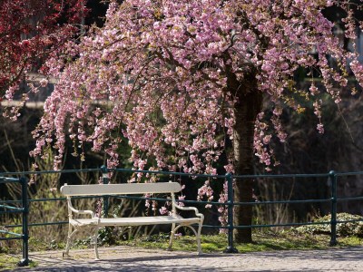 Holiday apartment Johannes Raut at the Residence Ladurnerhof - Environment photo 36