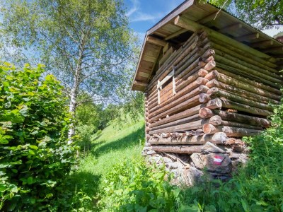 Holiday house Apartment Bramberg near Wildkogel Ski Lift - Outdoor photo 7