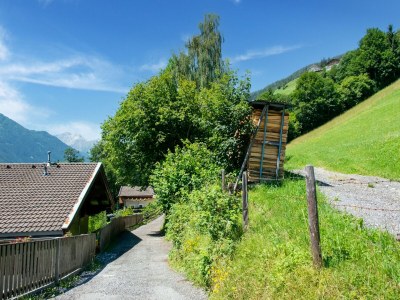 Holiday house Apartment Bramberg near Wildkogel Ski Lift - Environment photo 22
