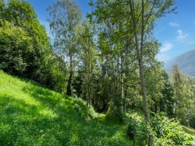 Holiday house Apartment Bramberg near Wildkogel Ski Lift - Environment photo 23