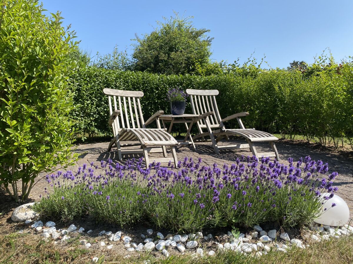 Holiday house Ferienhaus Duinzicht  Buitenplaats 115 mit Sauna - Outdoor photo 4