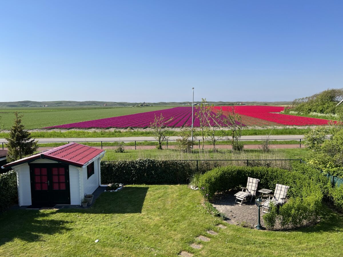 Holiday house Ferienhaus Duinzicht  Buitenplaats 115 mit Sauna - Outdoor photo 5