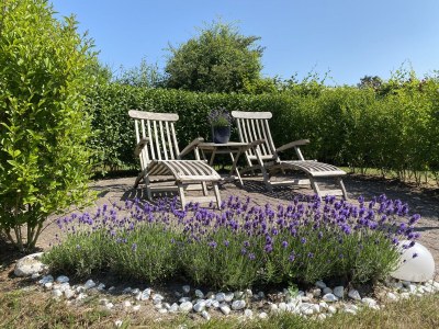 Holiday house Ferienhaus Duinzicht  Buitenplaats 115 mit Sauna - Outdoor photo 4