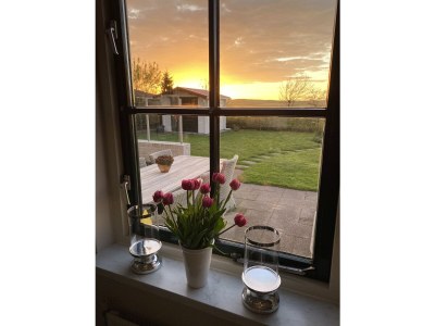 Holiday house Ferienhaus Duinzicht  Buitenplaats 115 mit Sauna - Outdoor photo 18