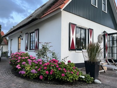 Holiday house Ferienhaus Duinzicht  Buitenplaats 115 mit Sauna - Features photo 34