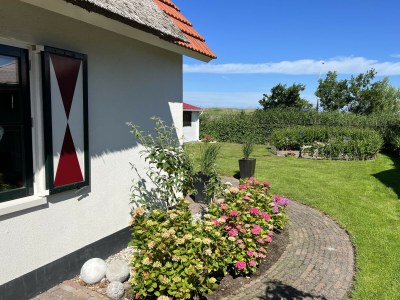 Holiday house Ferienhaus Duinzicht  Buitenplaats 115 mit Sauna - Features photo 37