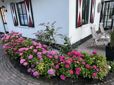 Holiday house Ferienhaus Duinzicht  Buitenplaats 115 mit Sauna - Features photo 38